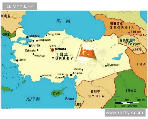 欧洲局势新变局俄罗斯与土耳其的博弈与合作分析